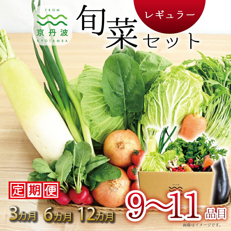 [定期便] 京丹波 旬菜セット レギュラー 9〜11品目 [ 選べる定期便 ] 3回 6回 12回 定期便 野菜 詰め合わせ 京都 丹波 京丹波町産 産地直送 京野菜 減塩 レシピ ※北海道・東北・沖縄・その他離島は配送不可