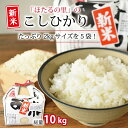 【ふるさと納税】 京丹波ほたるの里のこしひかり 2kg×5袋(総量10kg) 米 お米 新米 京都 コシヒカリ 精米 特A 小分け お試し