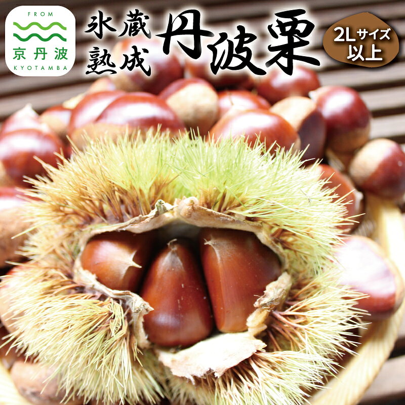 【ふるさと納税】【数量限定】 氷蔵熟成 丹波栗 選べる 数量 1kg 2kg 2Lサイズ以上 京都 京丹波町産【 自家農園 和栗 国産栗 くり 栗 栗ご飯 】 ※北海道・沖縄・その他離島は配送不可