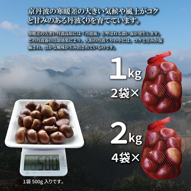 京都府京丹波町の画像3