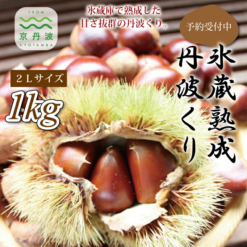 【ふるさと納税】【数量限定】 京都 京丹波町産 栗 氷蔵熟成 丹波栗 1kg 【 自家農園 和栗 国産栗 くり 栗 栗ご飯 】 ※北海道・沖縄・その他離島は配送不可のサムネイル