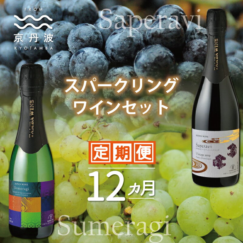 3位! 口コミ数「0件」評価「0」【定期便・全12回】【2024年2月発送開始】 スパークリングワイン 12カ月 定期便 【 丹波ワイン 国産ぶどう使用 国産ワイン 白ワイン･･･ 