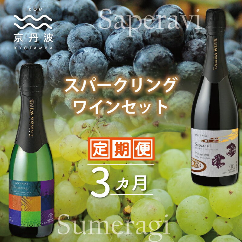 39位! 口コミ数「0件」評価「0」【定期便・全3回】【2024年2月発送開始】 スパークリングワイン 3カ月 定期便 【 丹波ワイン 国産ぶどう使用 国産ワイン 白ワイン 赤･･･ 