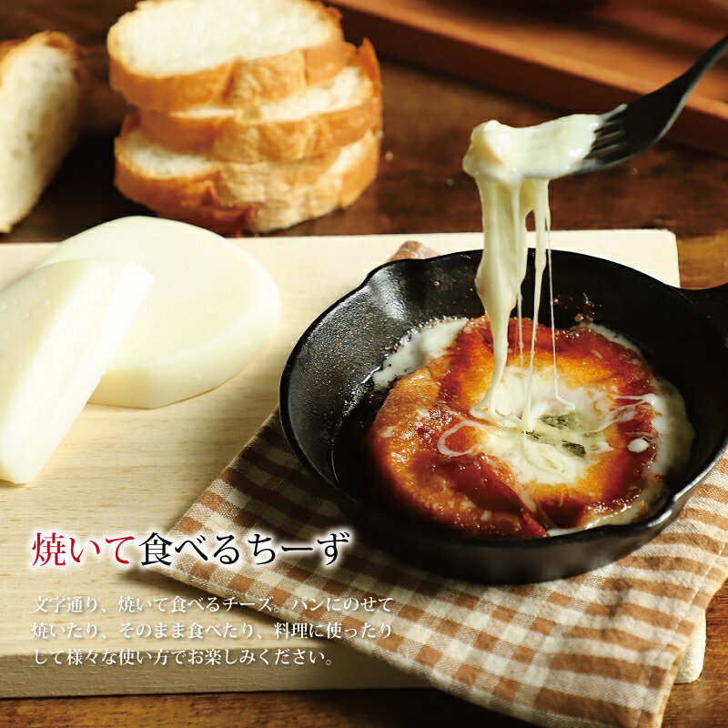 【ふるさと納税】焼いて食べるチーズ・さけるチーズ詰め合わせ