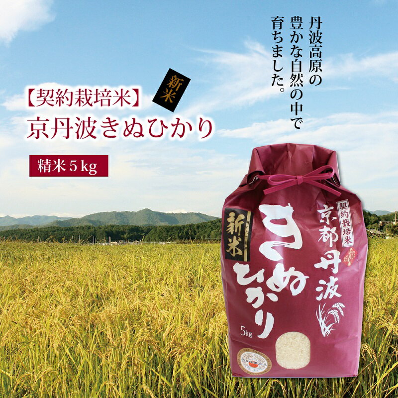 【ふるさと納税】【新米先行予約】京丹波きぬひかり 5kg 京都 精米 キヌヒカリのサムネイル