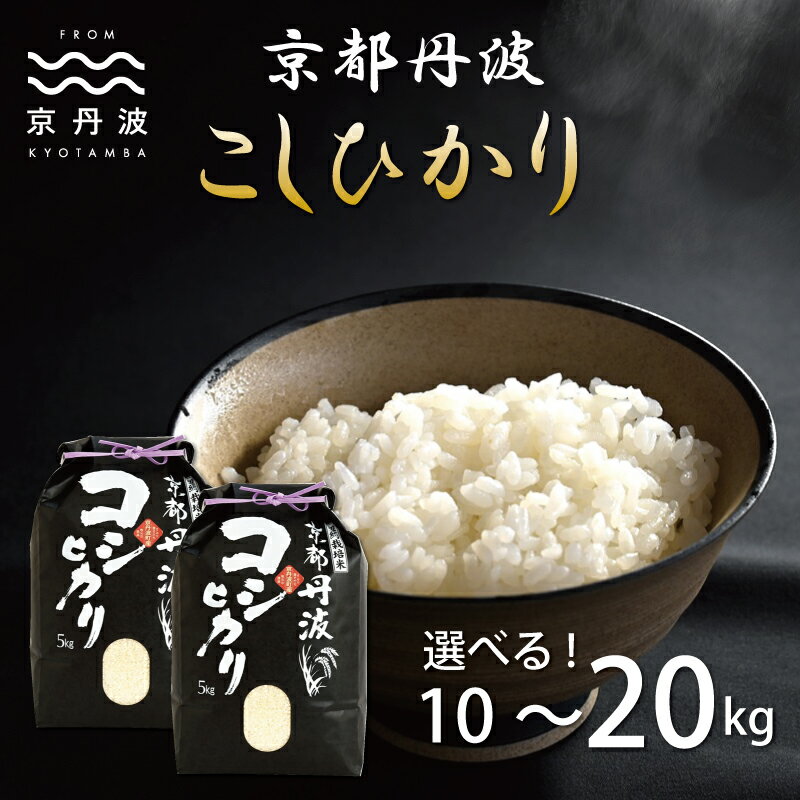 【ふるさと納税】京丹波こしひかり 10kg 15kg 20kg 令和5年産 京都 精米 コシヒカリ ※北海道・沖縄は配送不可