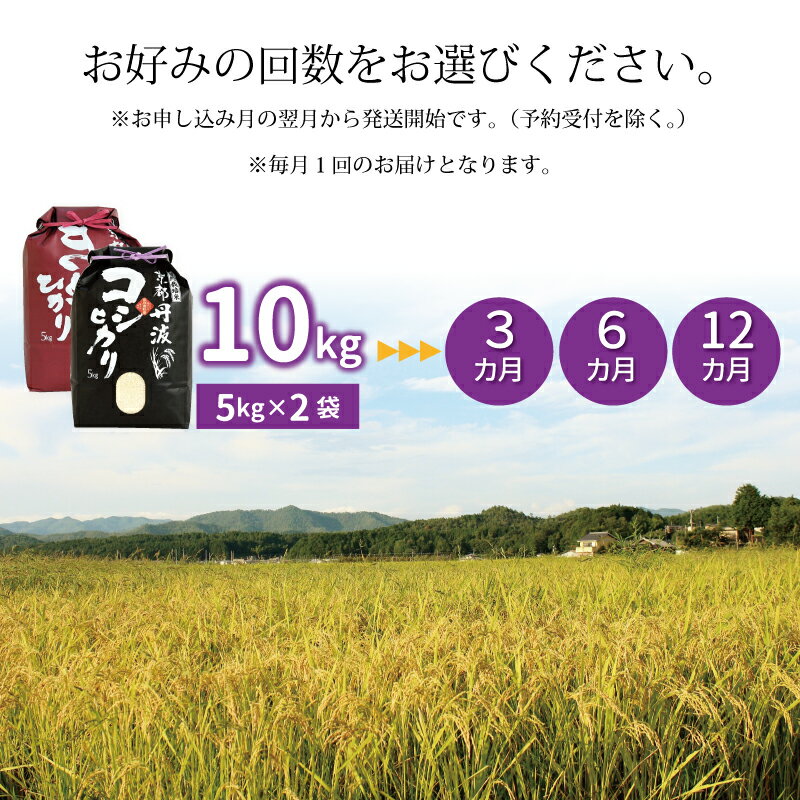 【ふるさと納税】《先行予約》 【定期便】 京丹波こしひかり きぬひかり 食べ比べセット 10kg 令和7年産 3カ月 6カ月 12カ月 回数 選べる定期便 精米 京都 コシヒカリ キヌヒカリ ※北海道・東北・沖縄・その他離島は配送不可