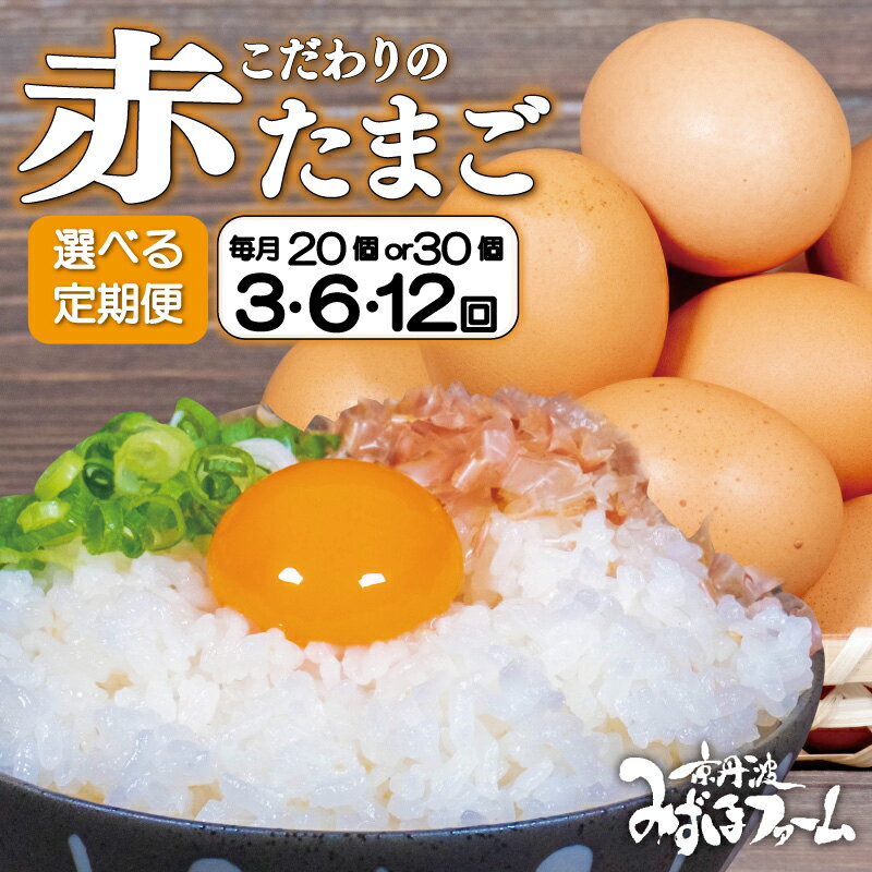【ふるさと納税】【定期便】赤たまご 選べる 回数 内容量 20個 30個 3回 6回 12回 定期便 こだわり 卵 ..