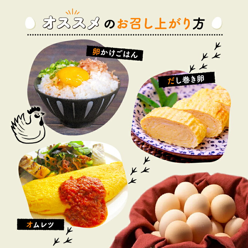 【ふるさと納税】赤たまご 30個 / 80個 / 160個 選べる容量 こだわり 卵 たまご 濃い 玉子 セット 玉子焼き オムレツ 卵かけご飯 ゆで卵 鶏卵 卵黄 国産 京都府 京丹波町 みずほ