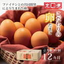 【ふるさと納税】【12カ月定期便】【2024年8月発送開始】京の雅（卵） 定期便 12カ月連続　【 卵 定期便 たまご 新鮮卵 たまごセット ..