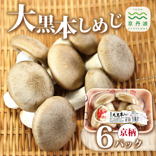 【ふるさと納税】大黒本しめじ京柄 6パックセット ( 国産 京都 きのこ キノコ 丹波 しめじ 食感 シャキシャキ 天ぷら 鍋 炒め物 ) 新生活応援 ※北海道・沖縄・その他離島への配送不可 【ふるさと納税】大黒本しめじ京柄 6パックセット ( 国産 京都 きのこ キノコ 丹波 しめじ 食感 シャキシャキ 天ぷら 鍋 炒め物 ) 新生活応援 ※北海道・沖縄・その他離島への配送不可