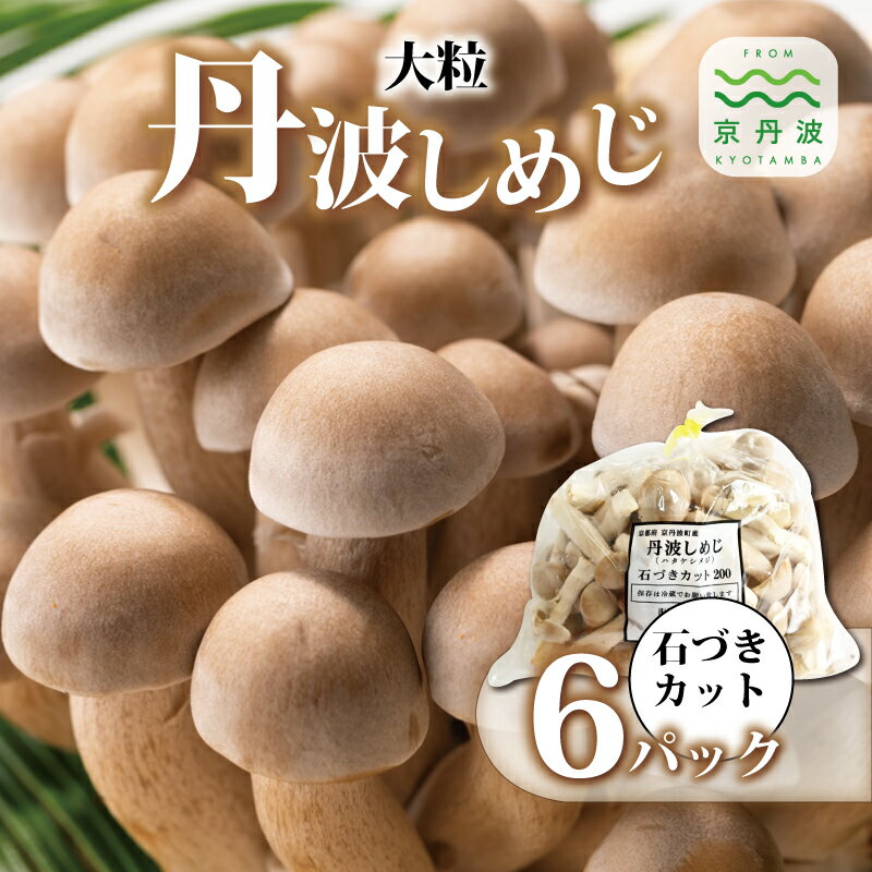 【ふるさと納税】大粒丹波しめじ 石づきカット 6袋セット ( 国産 京都 きのこ キノコ 丹波 しめじ はたけしめじ 大粒 カット 食感 シャキシャキ 天ぷら ...
