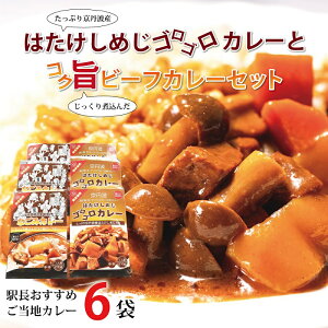 【ふるさと納税】駅長おすすめご当地カレー はたけしめじゴロゴロカレーとコク旨ビーフカレーセット 新生活応援