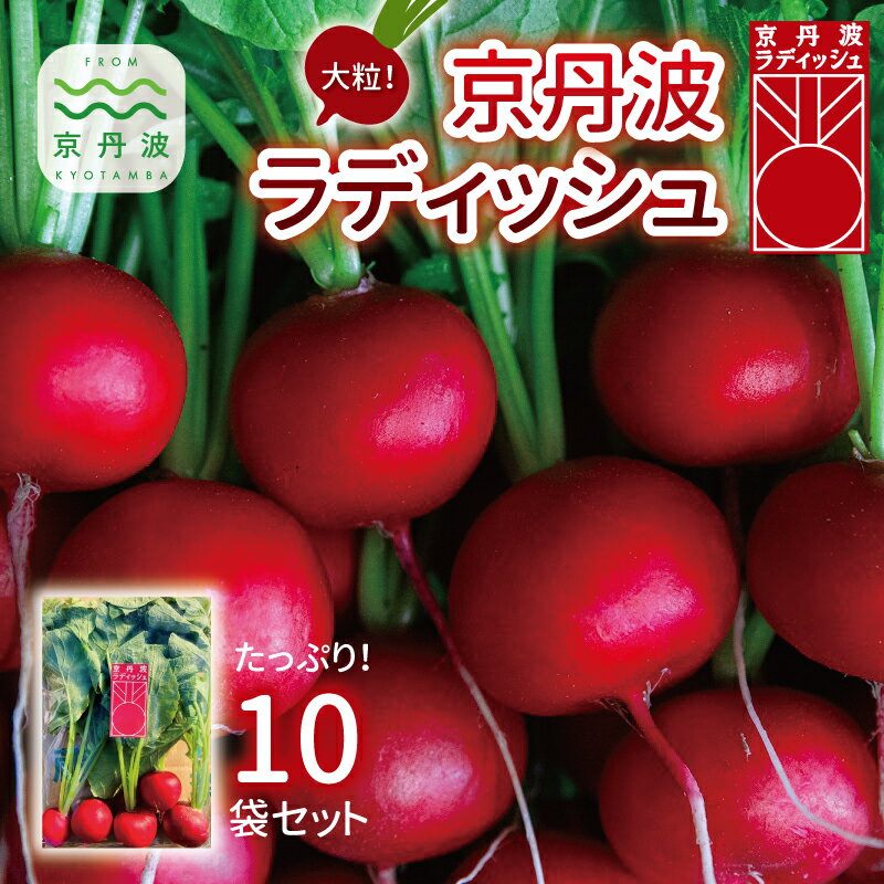 野菜・きのこ(大根)人気ランク16位　口コミ数「0件」評価「0」「【ふるさと納税】京丹波ラディッシュ 10袋セット 京都 丹波 大粒 ジューシー フルーティー ソテー グリル料理 バーベキュー アヒージョ かき揚げ サラダ スープ ※北海道・沖縄・その他離島は配送不可」