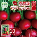 商品説明 名称 ラディッシュ 産地名 京都府京丹波町 内容量 ・京丹波ラディッシュ 10袋 賞味期限 発送日から5日程度 保存方法 要冷蔵。 ※生鮮食品ですので、到着後はお早めに お召し上がり下さい。 提供元 事業者 京の丹波 野村家 （京都府船井郡京丹波町保井谷柳縄手13番地） 備考 冷蔵でお届けします。（季節によって常温で お届けする場合があります。） ※北海道・沖縄・その他離島は配送不可 ・ふるさと納税よくある質問はこちら ・寄付申込みのキャンセル、返礼品の変更・返品はできません。あらかじめご了承ください。