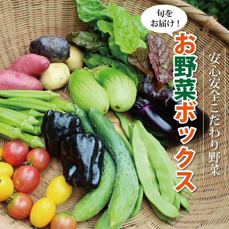 【ふるさと納税】【2024年6月以降順次発送】新鮮お野菜ボックス 京都・京丹波町産 ≪栽培期間中農薬不使用の安心安全こだわり野菜≫ 北海道・沖縄は配送不可