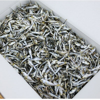【ふるさと納税】【京都府伊根町】じゃこ(混ぜり煮干し) 2kg 専用箱入り【1731797】