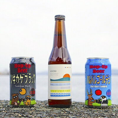 【与謝野町産ホップ使用クラフトビール】飲み比べ6本セット【配送不可地域：離島】【1139426】