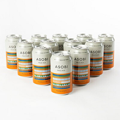 【ふるさと納税】【与謝野町産ホップ使用クラフトビール】 ASOBI　350ml ×12本セット【1248906】