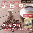 【ふるさと納税】【ヨサノロースター】 コーヒー豆 グァテマラ ウエウエテナンゴファンシー 200g×2 遠赤外線焙煎【配送不可地域:離島】【1545255】