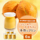 【ふるさと納税】栽培期間中、農薬を使わず自家栽培した「コリンキーかぼちゃ」使用の手作りプリン 6個【配送不可地域:離島】【1550987】