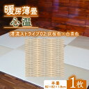 【ふるさと納税】暖房薄畳 心温 1枚【清流ストライプ02 灰桜色×白茶色】 年中使える和のホットカーペット【1557553】
