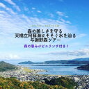 【ふるさと納税】森の美しさを守る 天橋立阿蘇海にそそぐ水を辿る『与謝野森ツアー』森の恵みジビエランチ付き!【1573092】