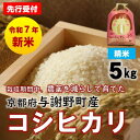 【ふるさと納税】先行予約 R7年産新米 京都丹後産コシヒカリ 精米5kg 栽培期間中、農薬を減らして育てたお米【1658828】