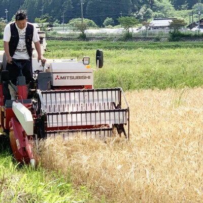 【ふるさと納税】数量限定!令和7年産新米 自然循環農業で育った京都与謝野町産コシヒカリ「京の豆っこ米」　精米20kg【1680781】