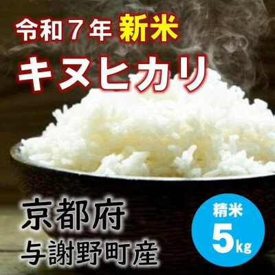 【ふるさと納税】令和7年産新米 特別栽培キヌヒカリ「京の豆っこ米」精米5kg 京都与謝野町 【伊達農園】 数量限定【1684174】