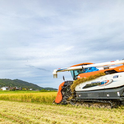 【ふるさと納税】令和7年産新米　特別栽培キヌヒカリ「京の豆っこ米」精米10kg　京都与謝野町　【伊達農園】　数量限定【1684179】