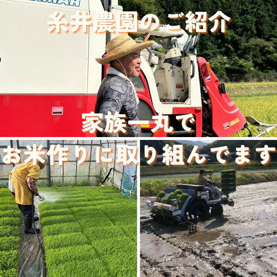 【ふるさと納税】京都府与謝野町産 丹後コシヒカリ 精米(2kg/4kg/5kg/10kg/15kg/20kg)【G1686611】