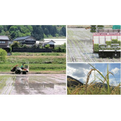 【ふるさと納税】令和7年新米　京都与謝野町産コシヒカリ「京の豆っこ米」精米30kg　【誠武農園】 農家直送【1687786】