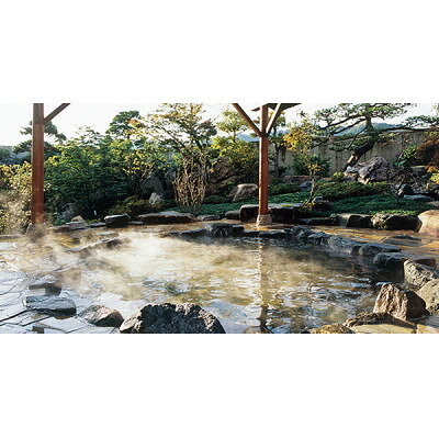 【ふるさと納税】天橋立・岩滝温泉 ホテル喜楽家(新館)　冬の味覚!松葉ガニづくしプラン宿泊ペア券(1泊2食付き)【1693324】 f264652-yosano-10001120 京都府与謝野町 サンプル画像3