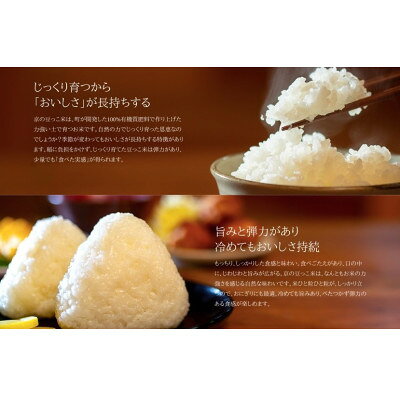 【ふるさと納税】令和7年米　京都与謝野町産コシヒカリ「京の豆っこ米」玄米10kg×3...