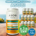 【ふるさと納税】【毎月定期便】【与謝野町産ホップ使用クラフトビール】 ASOBI 350ml ×12本セット全3回【4058785】