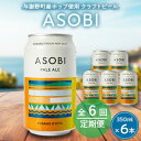 【ふるさと納税】【毎月定期便】【与謝野町産ホップ使用クラフトビール】 ASOBI 350ml ×6本セット全6回【4060419】
