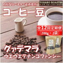 【ふるさと納税】【毎月定期便】コーヒー豆 グァテマラ ウエウエテナンゴファンシー 200g×2 遠赤外線焙煎全12回【配送不可地域:離島】【4063191】