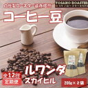 【ふるさと納税】【毎月定期便】コーヒー豆 ルワンダ スカイヒル 200g×2袋 こだわり遠赤外線焙煎全12回【配送不可地域:離島】【4063196】
