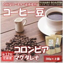 【ふるさと納税】【毎月定期便】コーヒー豆 コロンビア マグダレナ 200g×2袋 こだわり遠赤外線焙煎全12回【配送不可地域:離島】【4063248】