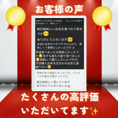 【ふるさと納税】【毎月定期便】京都府与謝野町産 丹後コシヒカリ 精米5kg　特別栽培米 京の豆っこ米全3回【4083191】