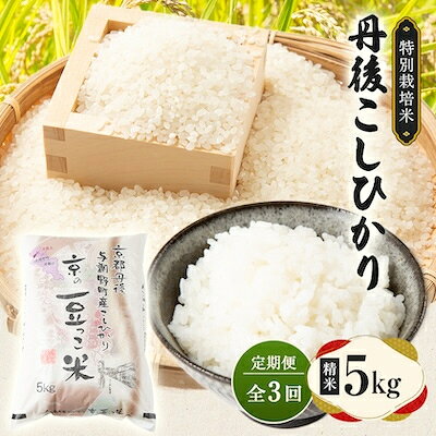 【ふるさと納税】【毎月定期便】京都府与謝野町産 丹後コシヒカリ 精米5kg 特別栽培米 京の豆っこ米全12回【4083193】