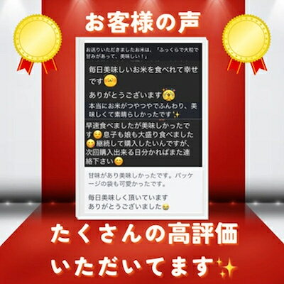 【ふるさと納税】【毎月定期便】京都府与謝野町産 丹後コシヒカリ 精米5kg　特別栽培米 京の豆っこ米全12回【4083193】