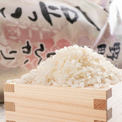【ふるさと納税】令和7年産米　京都与謝野町産コシヒカリ「京の豆っこ米」精米10kg　【高島屋選定品】【1561125】
