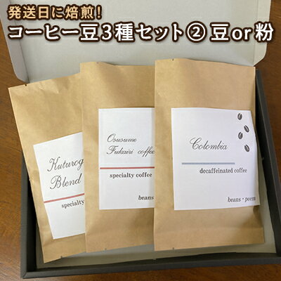 楽天ふるさと納税　【ふるさと納税】発送日に焙煎！コーヒー豆3種セット(2)　【 コーヒー粉 ブレンド シングルオリジン 高速熱風ロースター 当日焙煎 新鮮 焙煎したて カフェインレス 深煎り 】