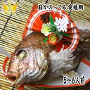 【ふるさと納税】天然祝鯛 炭火焼 1kgアップ(愛媛活け鯛) お届け:※12月15日申し込み分までは年内配送、16日申し込み以降は1月18日以降のお届け。