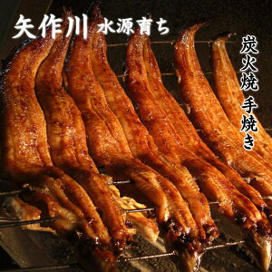 【ふるさと納税】矢作川うなぎ蒲焼 特大たっぷり3本セット お届け:※12月20日申し込み分までは年内配送、12月21日以降の申し込み分は1月8日以降お届け。
