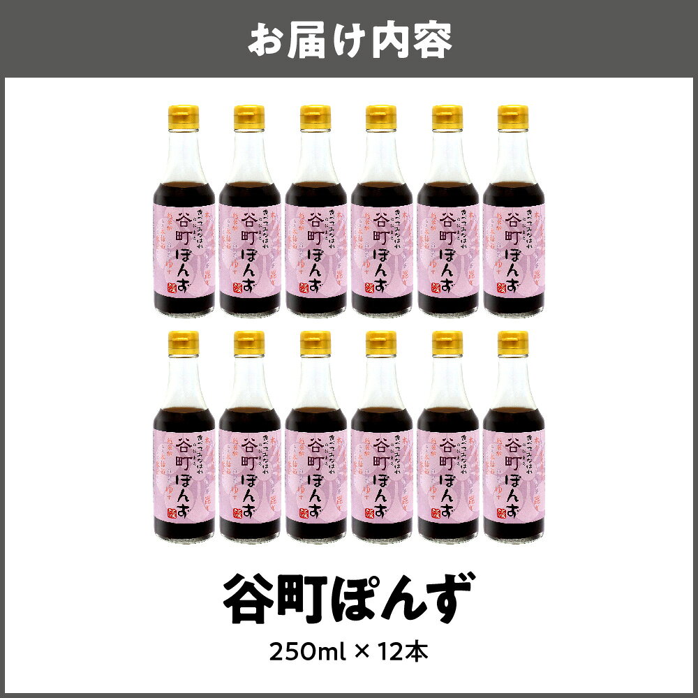 【ふるさと納税】【京阪百貨店厳選】谷町ぽんず 12本入 北海道産昆布 鹿児島産本枯本節 徳島産すだち 高知産ゆず 大分産椎茸 厳選素材 まろやか 上品 鍋 水炊き しゃぶしゃぶ ドレッシング たれ 送料無料 大阪市 大阪府