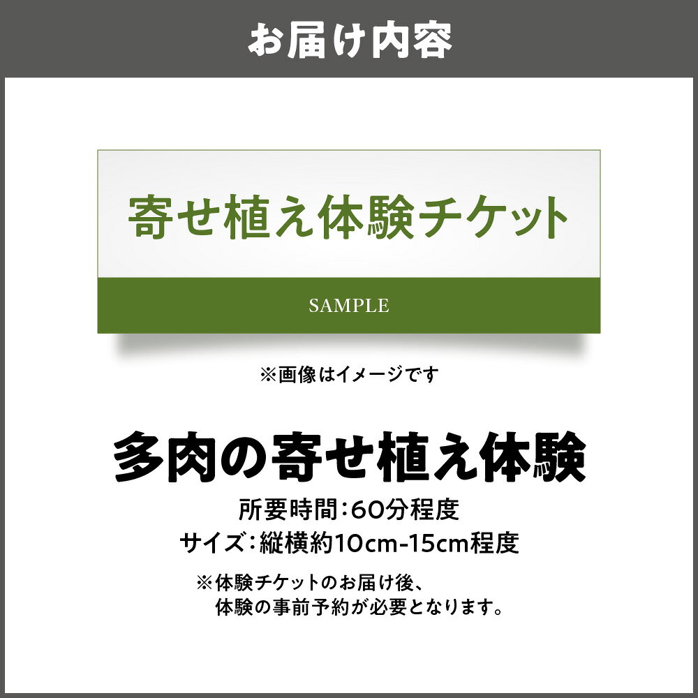 【ふるさと納税】【にじたま園芸部】多肉植物 寄せ植え 体験 ヤシのチップ 多肉の寄せ植え体験 専門店 講師 水やり 置き場所 増やし方 丁寧 レッスン 送料無料 大阪市 大阪府 f271004-osaka-10000306 大阪府大阪市 サンプル画像2