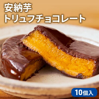記事番号:33479/アイテムID:363989の画像